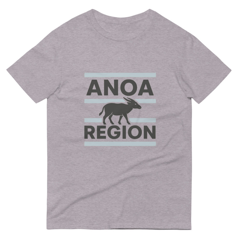 ANOA Region Blue Stripe Crewneck - Heather Grey